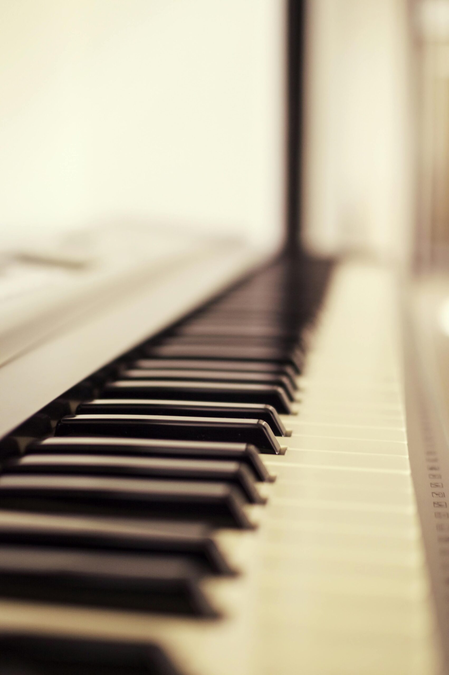 pexels photo 191240 191240 A classic close-up of piano keys with a soft focus effect, highlighting the black and white keys.